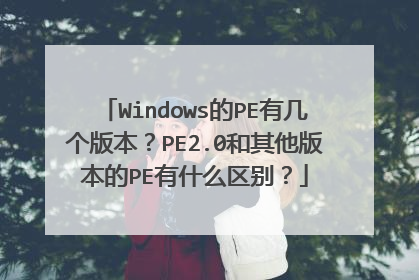 Windows��PE�м����汾��PE2.0�������汾��PE��ʲô����