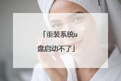 ��װϵͳu����������