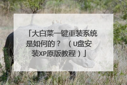 ��ײ�һ����װϵͳ����εģ� ��U�̰�װXPԭ��̳̣�