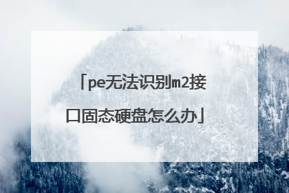 pe�޷�ʶ��m2�ӿڹ�̬Ӳ����ô��