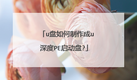 u�����������u���PE������?