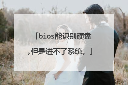 bios��ʶ��Ӳ��,���ǽ�����ϵͳ��