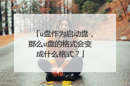 u����Ϊ�����̣���ôu�̵ĸ�ʽ����ʲô��ʽ��