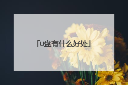 U����ʲô�ô�