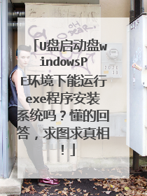 U��������windowsPE������������exe����װϵͳ�𣿶��Ļش���ͼ�����࣡