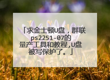 ���ʿ��U�̣�Ⱥ��ps2251-07���������ߺͽ̳�,U�̱�д�����ˡ�