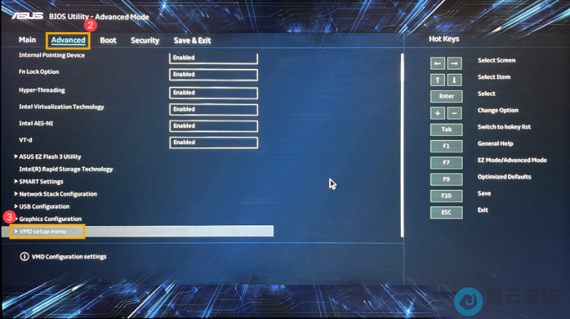 ����vmd�˵�