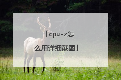cpu-z��ô����ϸ��ͼ