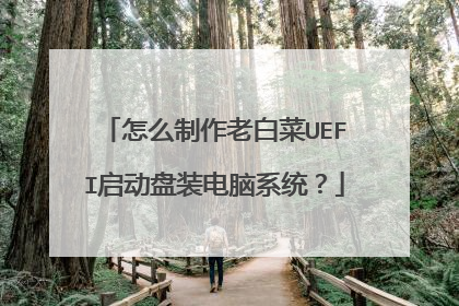 ��ô�����ϰײ�UEFI������װ����ϵͳ��