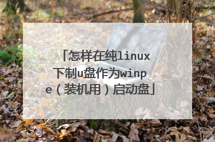 �����ڴ�linux����u����Ϊwinpe��װ���ã�������