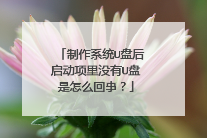 ����ϵͳU�̺���������û��U������ô���£�