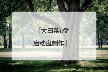 大白菜u盘启动盘制作