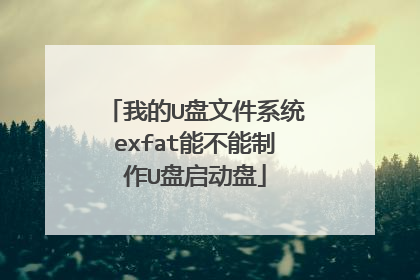 �ҵ�U���ļ�ϵͳexfat�ܲ�������U��������