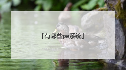 ����Щpeϵͳ