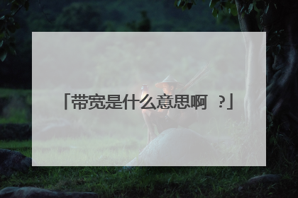 ������ʲô��˼�� ?