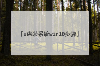 u��װϵͳwin10����