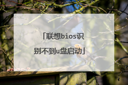 ����biosʶ�𲻵�u������