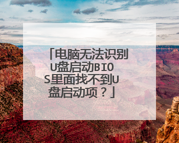 �����޷�ʶ��U������BIOS�����Ҳ���U�������