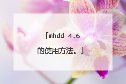 mhdd 4.6 ��ʹ�÷�����