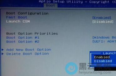 ����launch cm����Ϊenable