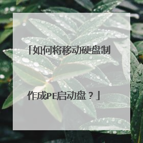 如何将移动硬盘制作成PE启动盘?