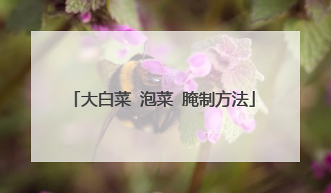 ��ײ� �ݲ� ���Ʒ���