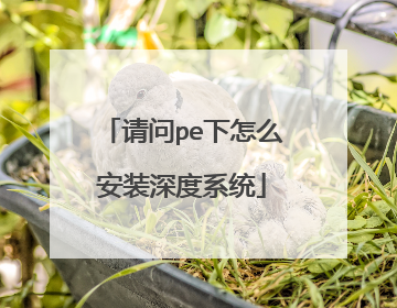 ����pe����ô��װ���ϵͳ