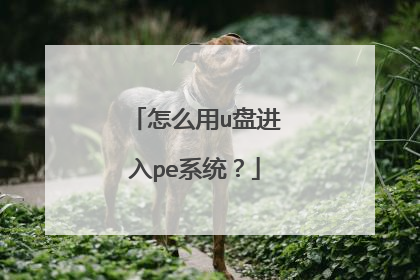 ��ô��u�̽���peϵͳ��