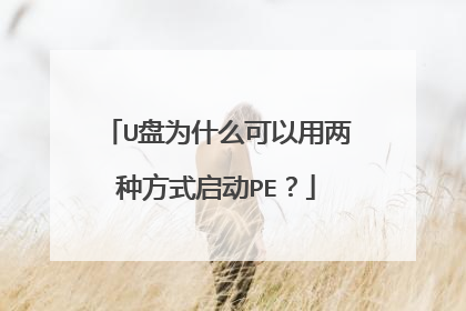 U��Ϊʲô���������ַ�ʽ����PE��