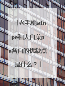 ��ë��winpe�ʹ�ײ�pe���Ե���ȱ����ʲô��