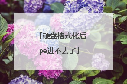 Ӳ�̸�ʽ����pe����ȥ��