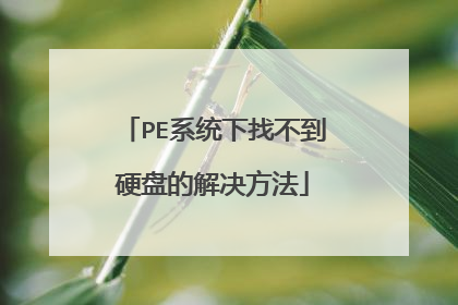 PEϵͳ���Ҳ���Ӳ�̵Ľ������