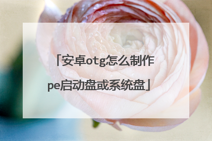 ��׿otg��ô����pe�����̻�ϵͳ��