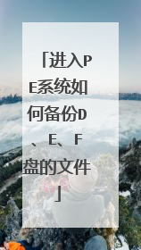 ����PEϵͳ��α���D��E��F�̵��ļ�