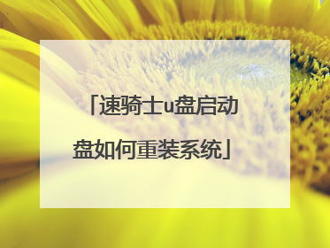 ����ʿu�������������װϵͳ