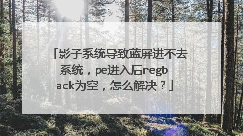 Ӱ��ϵͳ������������ȥϵͳ��pe�����regbackΪ�գ���ô�����