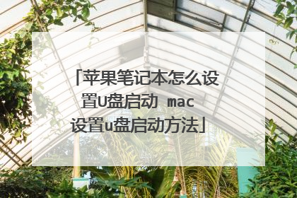 ƻ���ʼǱ���ô����U������ mac����u����������