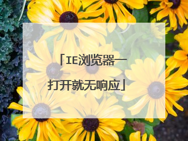 IE�����һ�򿪾�����Ӧ