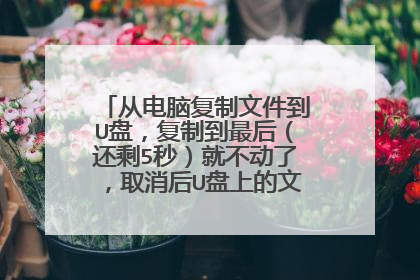 �ӵ��Ը����ļ���U�̣����Ƶ���󣨻�ʣ5�룩�Ͳ����ˣ�ȡ����U���ϵ��ļ���������ν��