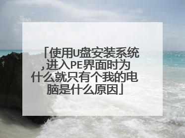 ʹ��U�̰�װϵͳ,����PE����ʱΪʲô��ֻ�и��ҵĵ�����ʲôԭ��