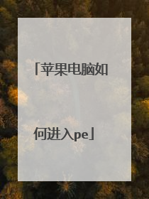 ƻ��������ν���pe