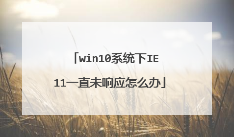 win10ϵͳ��IE11һֱδ��Ӧ��ô��