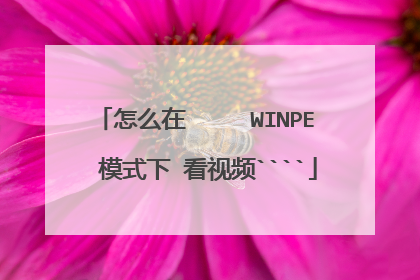 ��ô�� WINPEģʽ�� ����Ƶ````