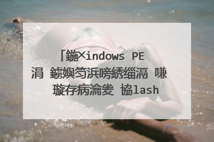 在windows PE �?看不了网络�?��?? 说没安�?�flash player �?安�?�时又�?? 没有找到mscms.dll 无法安�?? 怎么办？