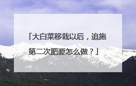 ��ײ������Ժ�׷ʩ�ڶ��η�Ҫ��ô����