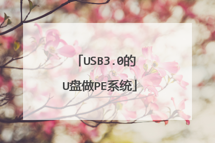 USB3.0��U����PEϵͳ