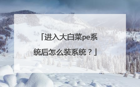 进入大白菜pe系统后怎么装系统?