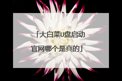 ��ײ�U�����������ĸ������