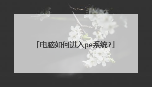 ������ν���peϵͳ?