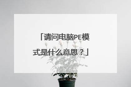 ���ʵ���PEģʽ��ʲô��˼��